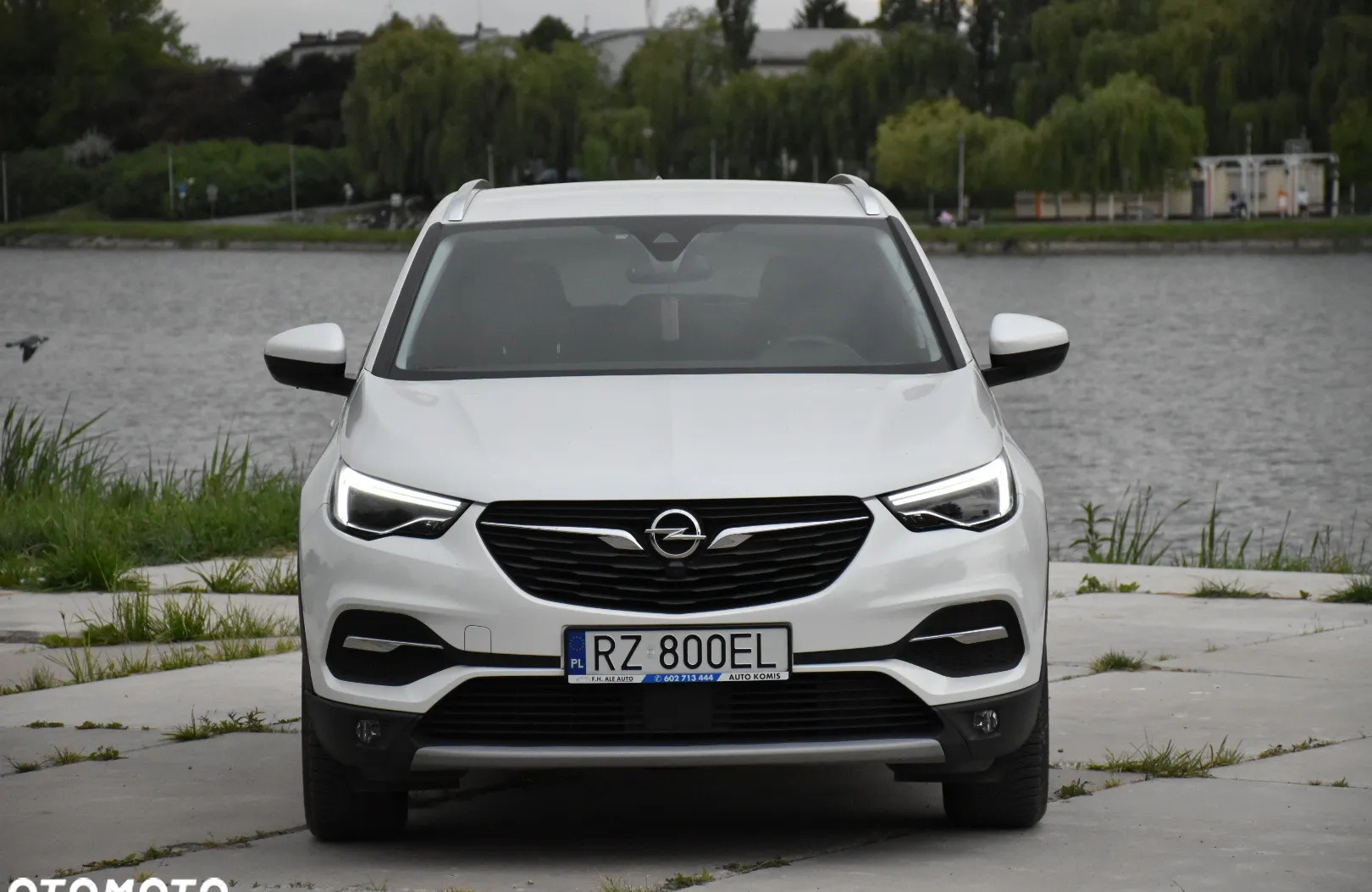 Opel Grandland X cena 73900 przebieg: 67000, rok produkcji 2018 z Rzeszów małe 562